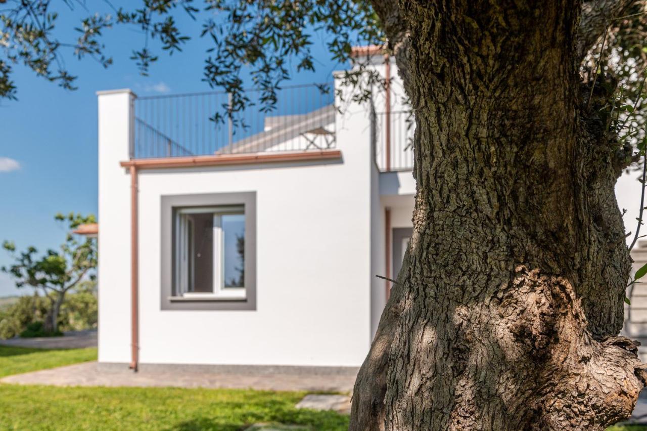 Podere N.8 Bio Casale Maremma Алберезе Екстериор снимка