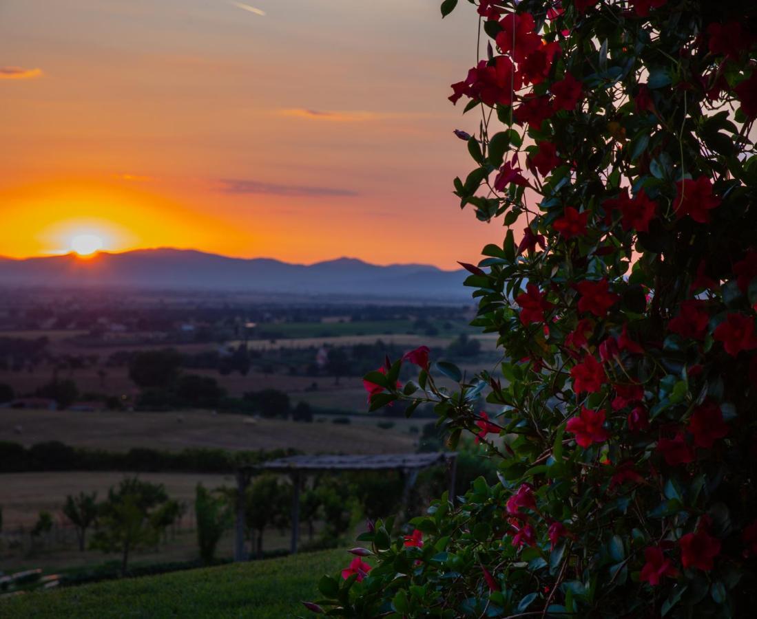 Podere N.8 Bio Casale Maremma Алберезе Екстериор снимка